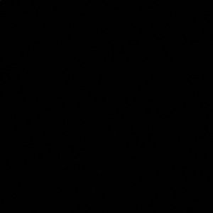 Meet your Posher, Cody